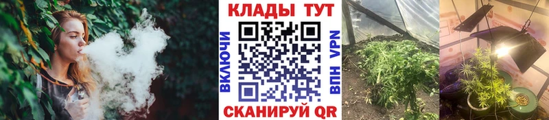 Купить Галлюциногенные грибы  Alpha-PVP  ГАШ  АМФЕТАМИН  Меф  Бутират  COCAIN  Кизляр