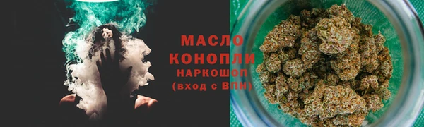 мет Инта