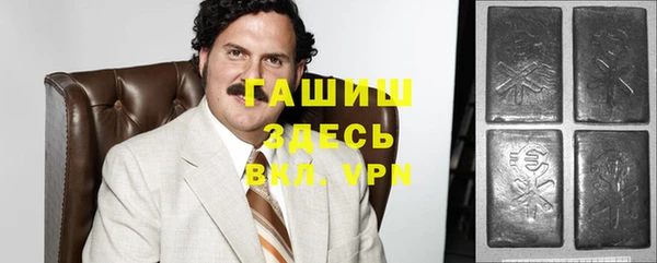 мет Инта
