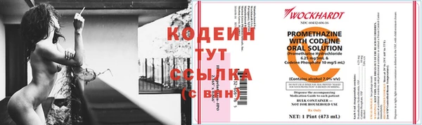 скорость Иннополис