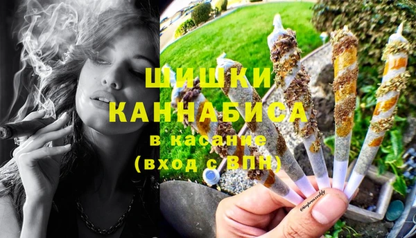 первитин Инсар