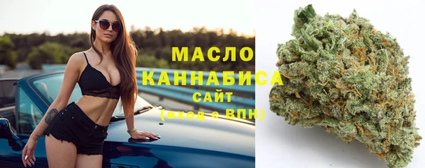 мет Инта