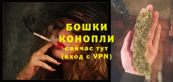 первитин Инсар