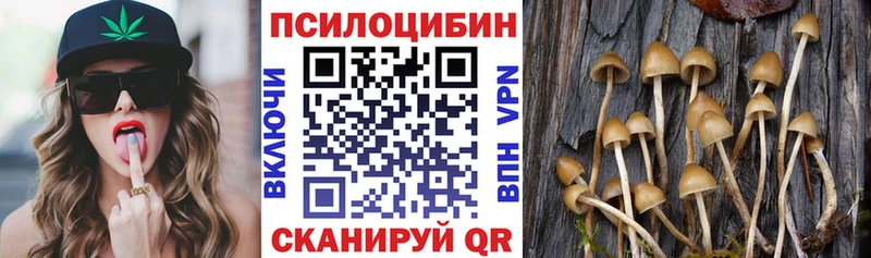 Купить где  Кизляр  Галлюциногенные грибы ЛСД 